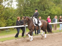 img_9653_web